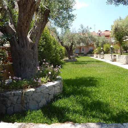 הוילה פפקוהורי Kripis House מראה חיצוני תמונה